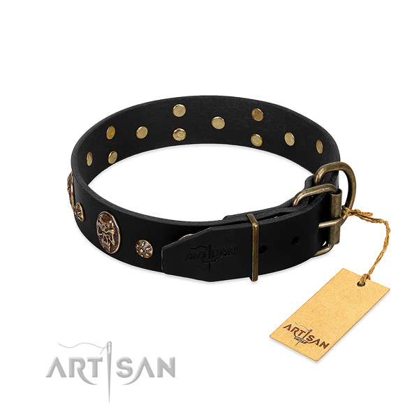 Corrosion proof adornments on genuine leather dog collar for your pet