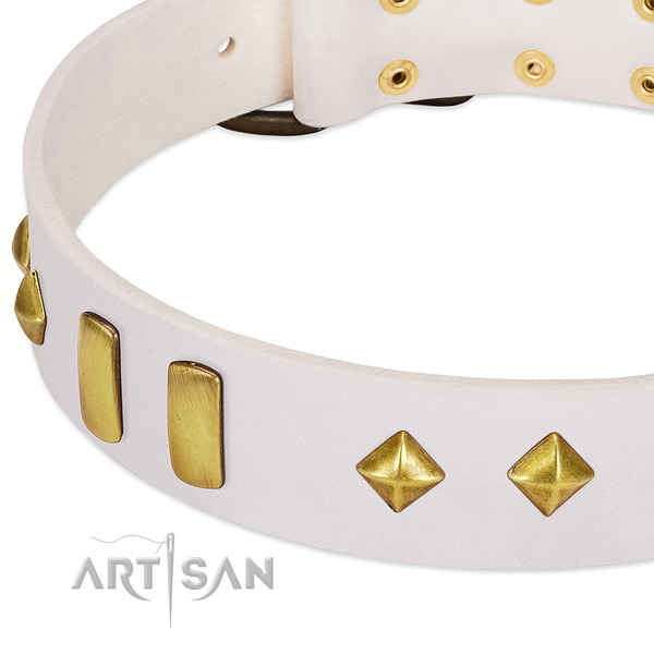 Top notch leather dog collar with corrosion resistant fittings