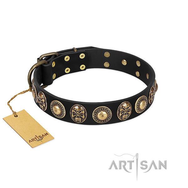 Easy to adjust full grain natural leather dog collar for daily walking your canine