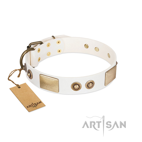 Corrosion resistant studs on leather dog collar for your pet