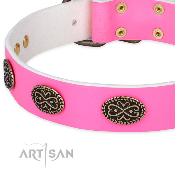 Leather dog collar with embellishments for walking