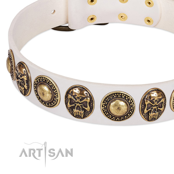 Rust resistant fittings on full grain leather dog collar for your dog