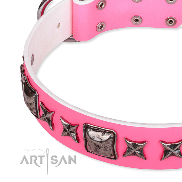Daily use studded dog collar of finest quality full grain leather