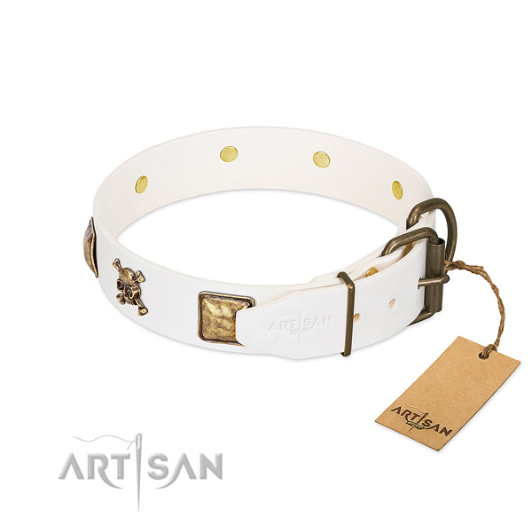 Comfy wearing leather dog collar with impressive adornments