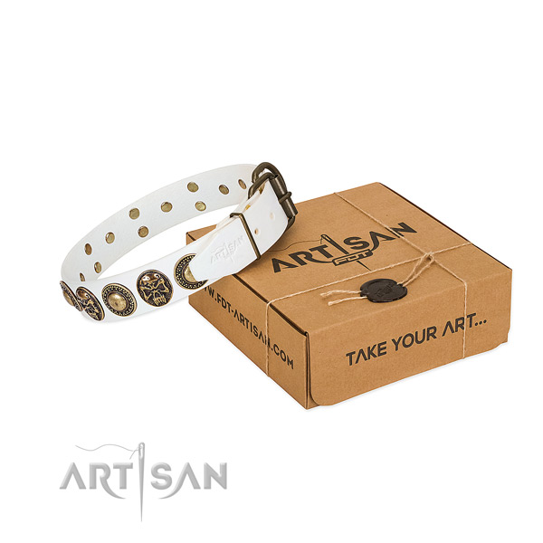 Corrosion proof decorations on dog collar for walking