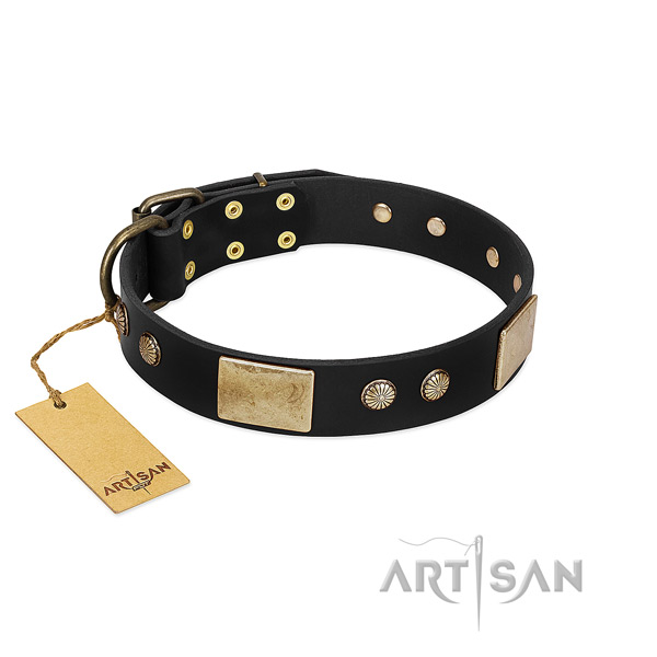 Easy to adjust leather dog collar for basic training your four-legged friend