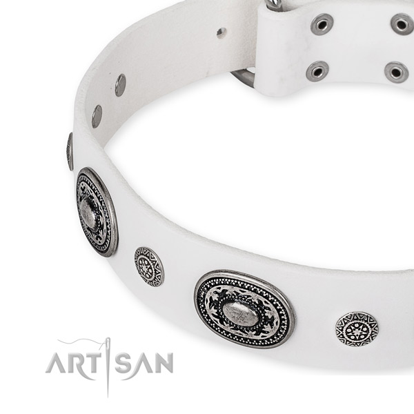 Quality full grain leather dog collar crafted for your beautiful canine