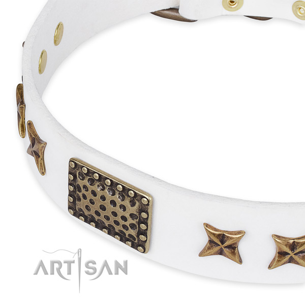 Full grain leather collar with rust-proof fittings for your beautiful dog