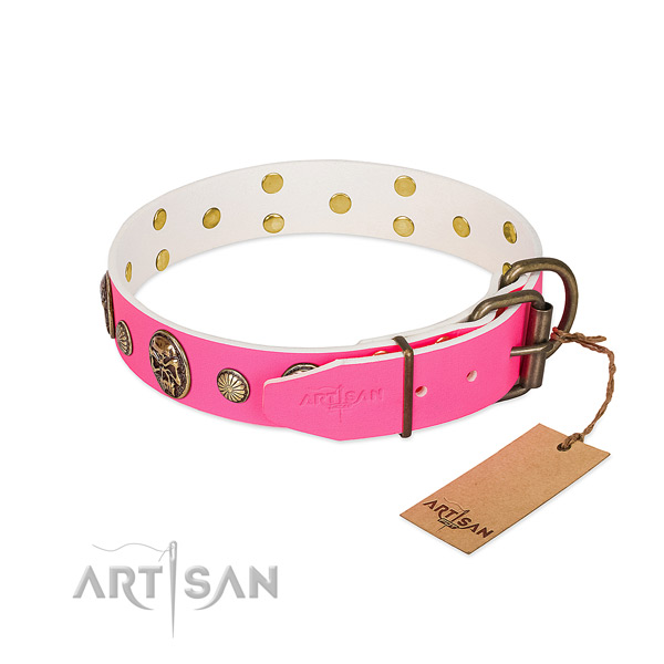Corrosion resistant embellishments on leather dog collar for your canine