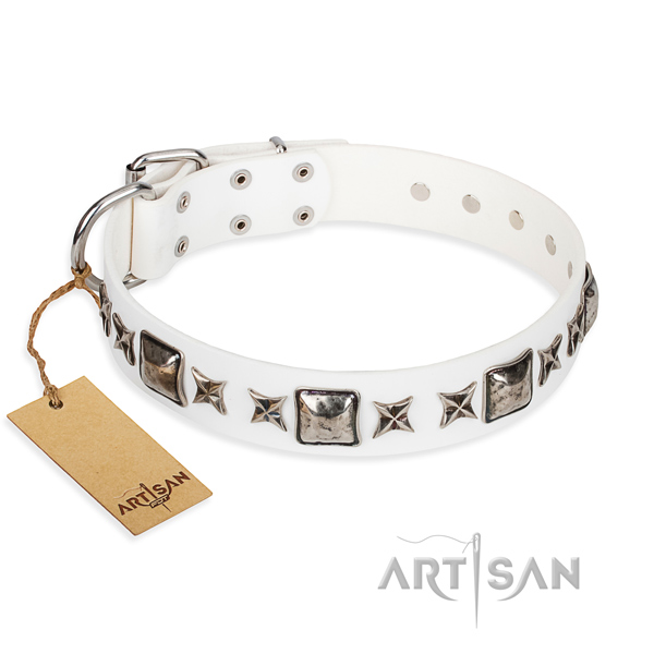 Comfy wearing dog collar of reliable full grain leather with studs