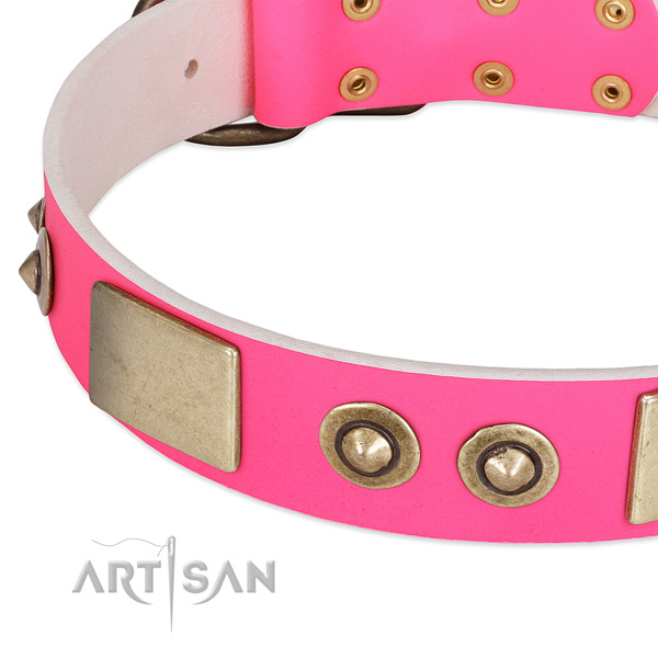 Corrosion proof studs on full grain genuine leather dog collar for your canine