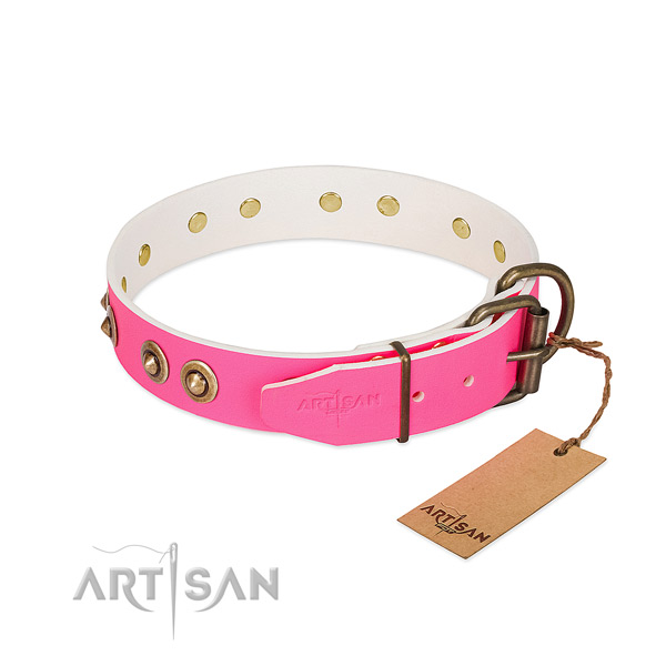 Leather dog collar with corrosion proof hardware and adornments