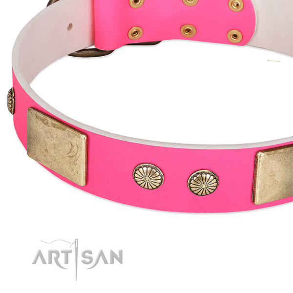 Rust resispinkt hardware on daily use dog collar