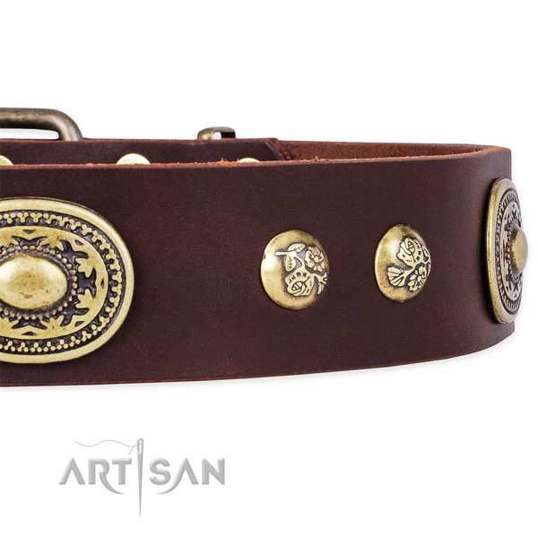 Fashionable full grain genuine leather collar for your impressive dog