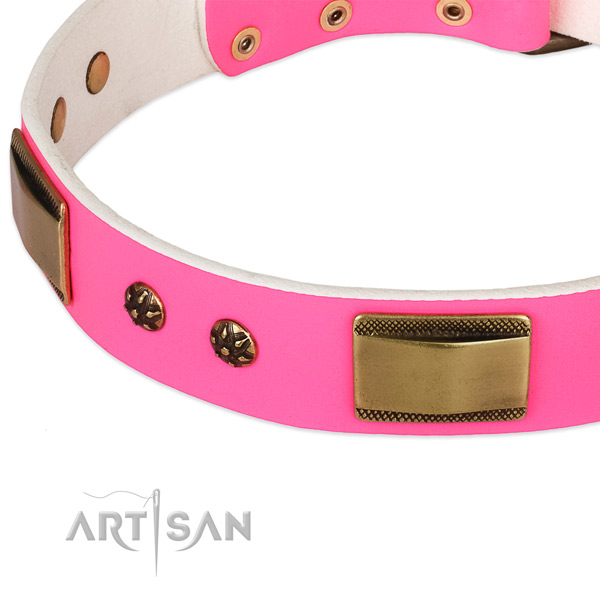 Strong traditional buckle on natural genuine leather dog collar for your pet