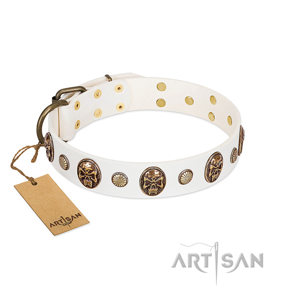 Top notch leather dog collar for daily use