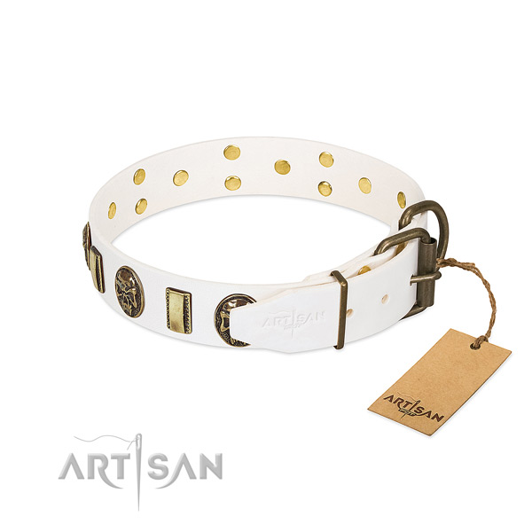 Corrosion resistant D-ring on full grain natural leather collar for stylish walking your four-legged friend