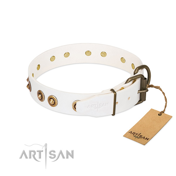 Durable D-ring on leather dog collar for your dog