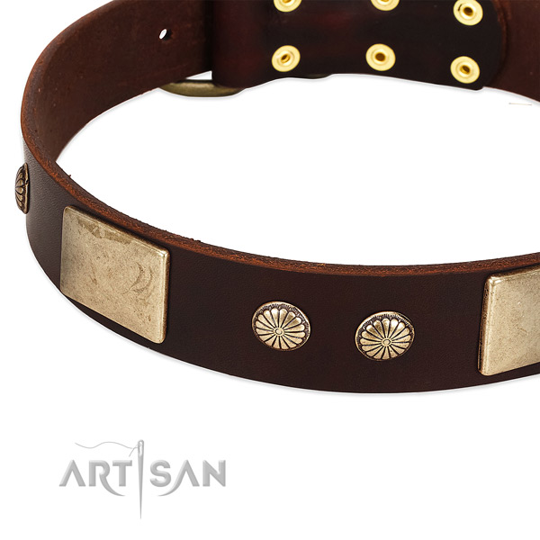 Corrosion resistant buckle on full grain genuine leather dog collar for your doggie
