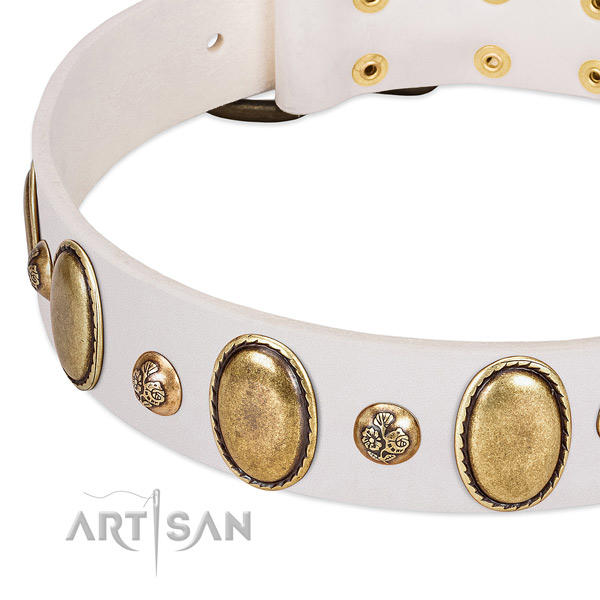 Full grain natural leather dog collar with stylish design embellishments