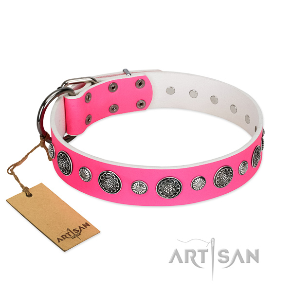 Soft to touch Full grain natural leather dog collar with corrosion proof traditional buckle