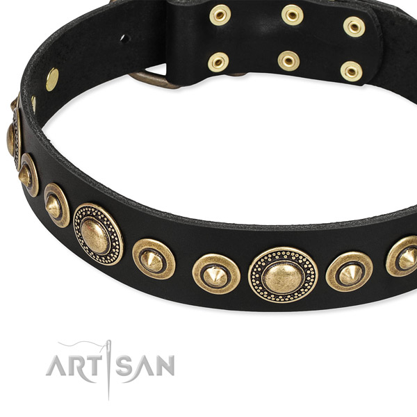 Flexible leather dog collar made for your handsome canine