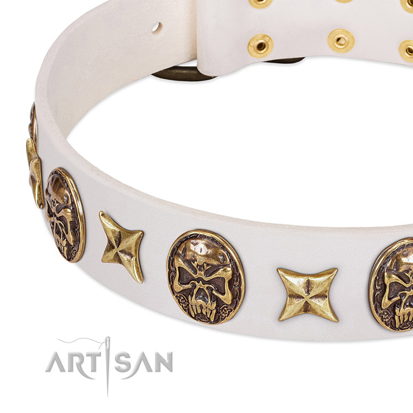 Genuine leather dog collar with strong buckle