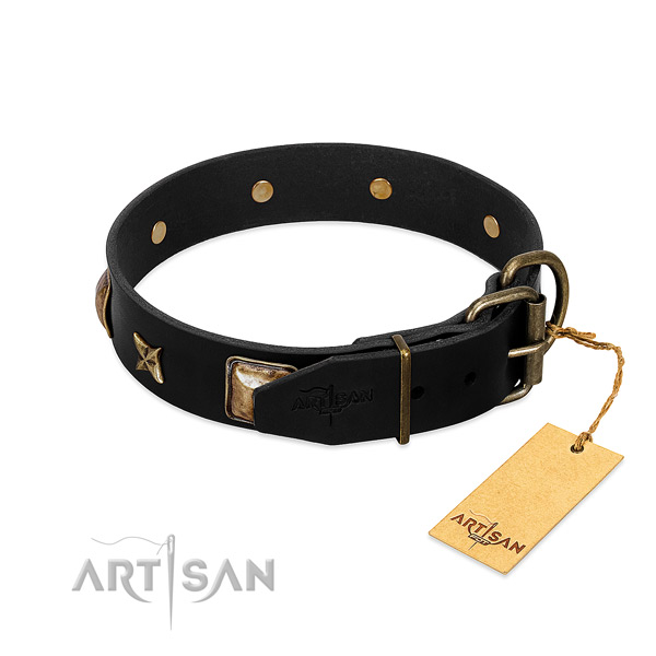 Rust resistant hardware on leather collar for everyday walking your dog