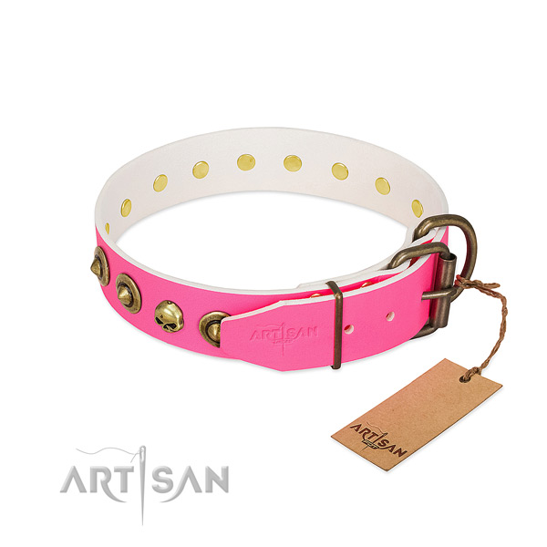 Genuine leather collar with trendy embellishments for your dog