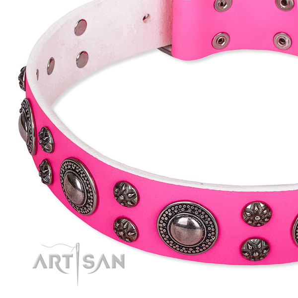 Comfortable wearing embellished dog collar of strong full grain natural leather