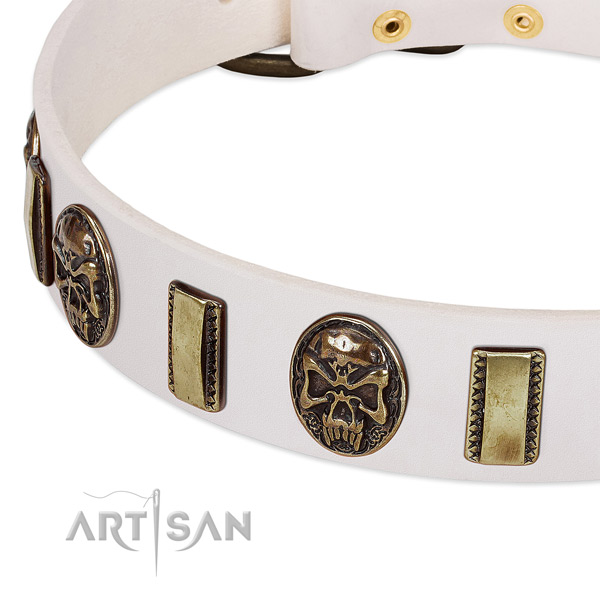 Durable hardware on leather dog collar for your dog