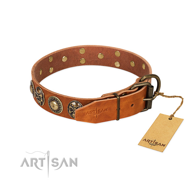 Corrosion proof fittings on stylish walking dog collar