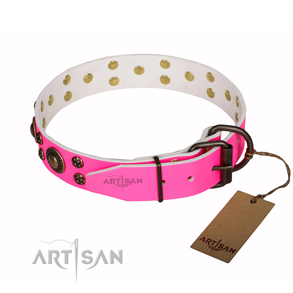 Comfortable wearing embellished dog collar of finest quality leather