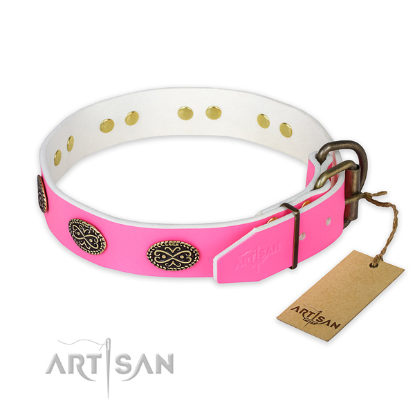 Rust resistant embellishments on walking dog collar