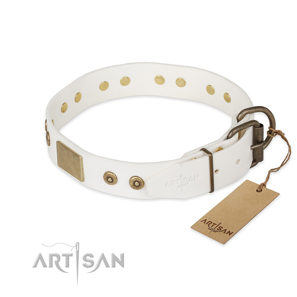 Rust-proof fittings on natural leather collar for stylish walking your doggie