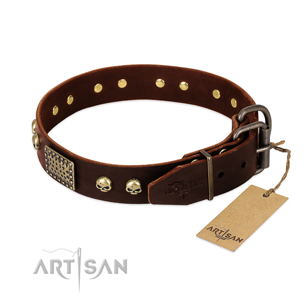 Strong buckle on walking dog collar