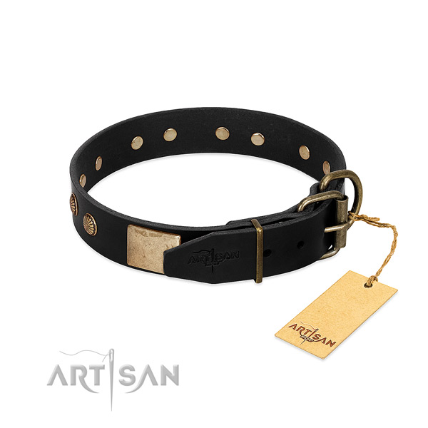 Reliable studs on comfy wearing dog collar