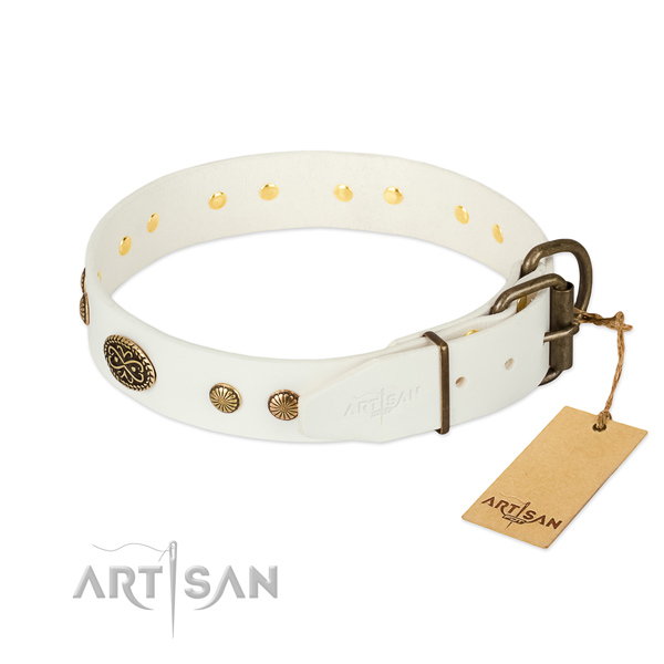 Rust resistant D-ring on leather dog collar for your four-legged friend