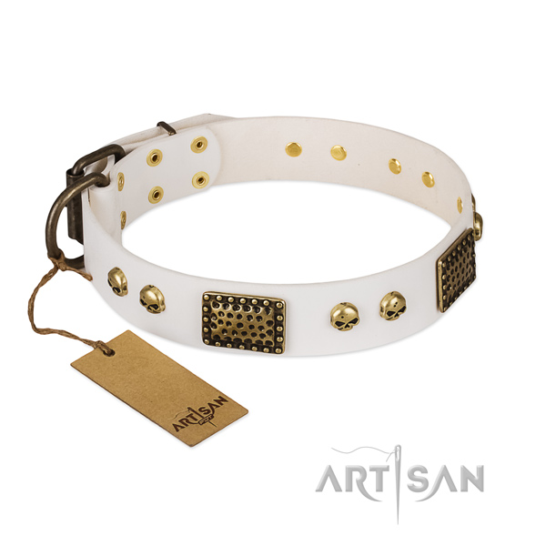 Strong fittings on everyday walking dog collar