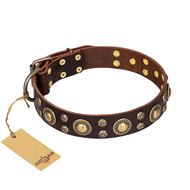 "Flower Melody" FDT Artisan Brown Leather Mastiff Collar with Mixed Studs