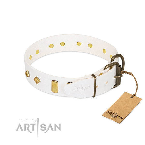 Quality full grain genuine leather dog collar with corrosion proof fittings