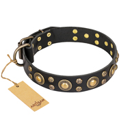 "Baroque Chic" FDT Artisan Studded Black Leather Mastiff Collar