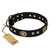 "High Fashion" FDT Artisan Studded with Plates Black Leather Mastiff Collar