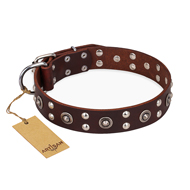 "Pirate Treasure" FDT Artisan Exciting Brown Leather Mastiff Collar with Studs