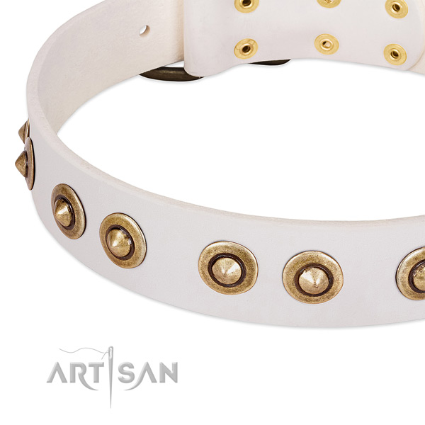 Durable traditional buckle on full grain genuine leather dog collar for your doggie
