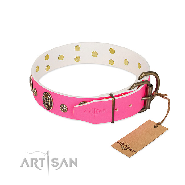 Rust-proof hardware on full grain natural leather collar for daily walking your canine