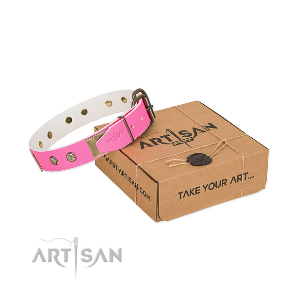 Reliable decorations on dog collar for stylish walking