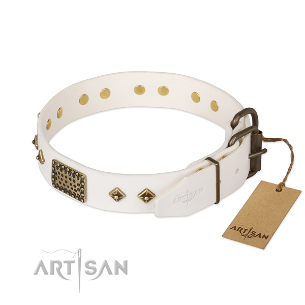 Full grain genuine leather dog collar with rust resistant hardware and embellishments