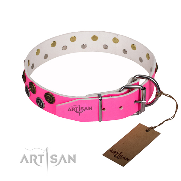 Fancy walking studded dog collar of durable full grain leather