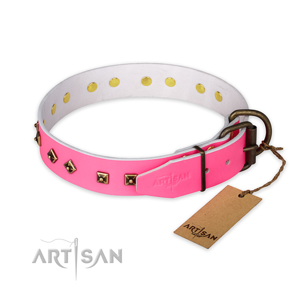 Corrosion resistant hardware on natural leather collar for everyday walking your four-legged friend